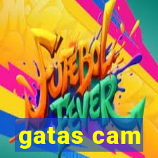 gatas cam